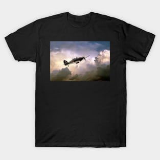 Hurricane YBW T-Shirt